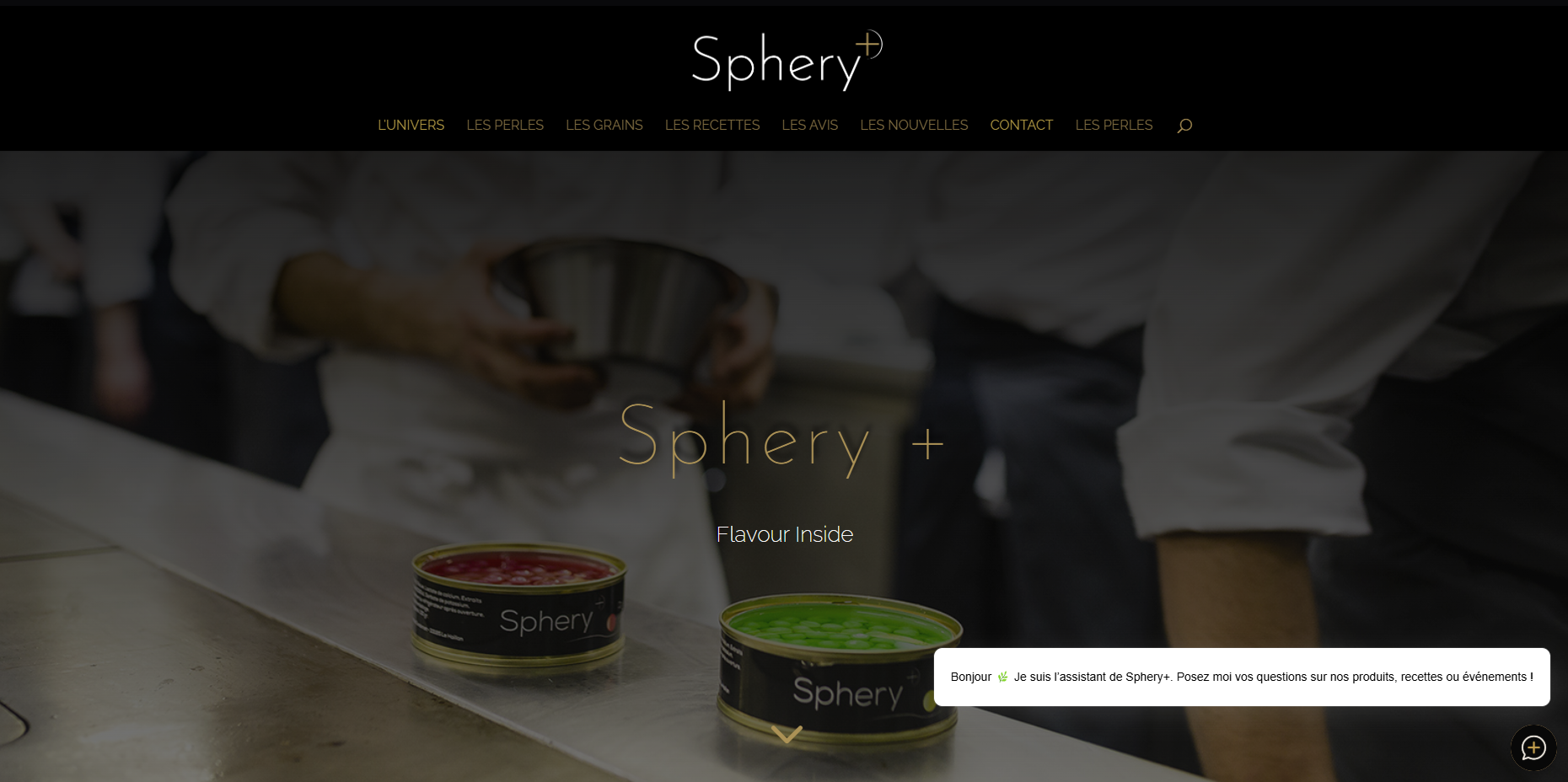 Site Vitrine Gastronomique